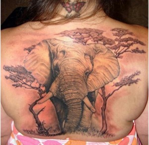 tatuajes elefante-04
